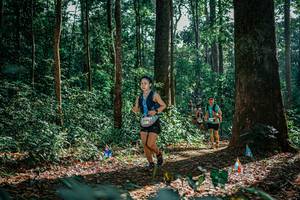 BIB: 
                            <button type="button" onclick="openModal(26130582)" class="btn btn-primary btn-sm float-right btn-popup" data-toggle="modal" data-target=".modal-high-quality">
                        <i class="fas fa-shopping-cart"></i> Add to Cart
                    </button>
                                            <button type="button" onclick="isThisMe(26130582, true)" class="btn btn-success btn-sm float-right btn-popup btn-isme hidden" data-toggle="tooltip" data-placement="bottom" title="นี่คือรูปของคุณใช่ไหม คลิกที่นี่เพื่อเอาเข้าอัลบั้ม">
                        <i class="fas fa-plus"></i> Add to album
                    </button>
                    <button type="button" onclick="isThisMe(26130582, false)" class="btn btn-warning btn-sm float-right btn-popup btn-isnotme hidden">
                        <i class="fas fa-ban"></i> Remove from album
                    </button>